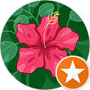 Donna profile picture